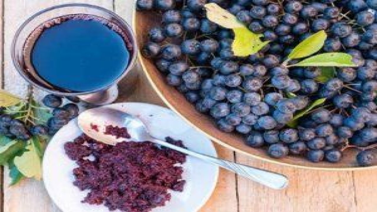 XG-Fit Aronia Ekstresi
