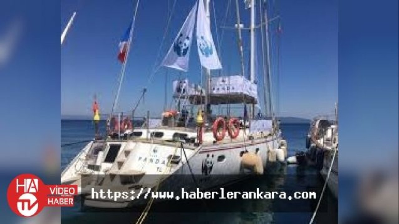 Blue Panda teknesi Türkiye'ye ulaştı