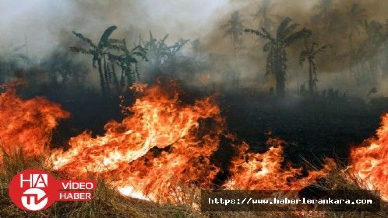 Endonezya'da yangın 60 aileyi evsiz bıraktı