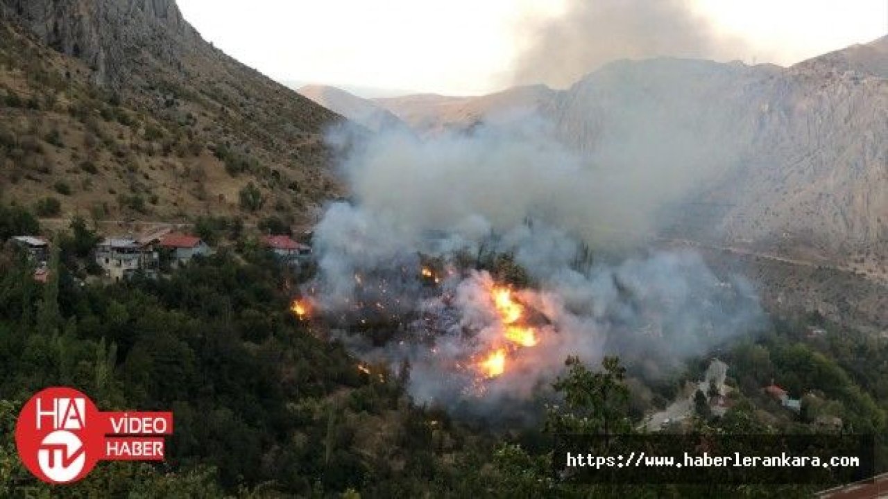 Erzincan'da ot yangını