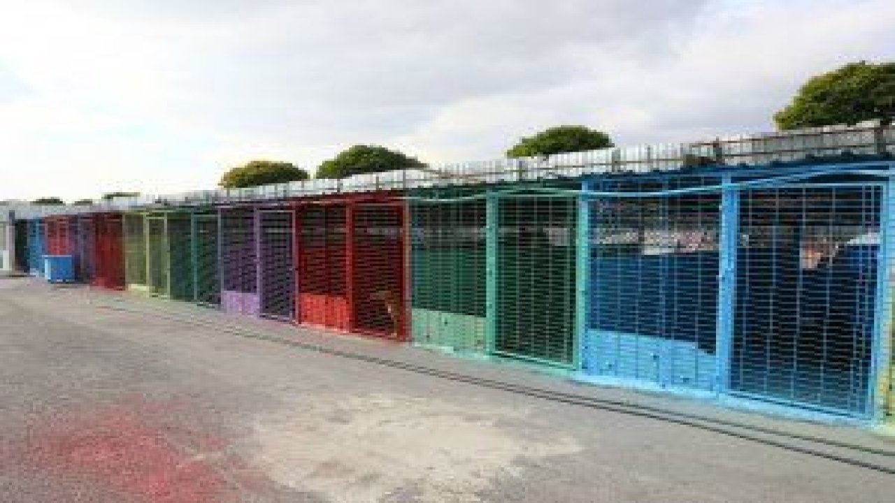 Can dostlarımızı unutmayalım ve gerek beslenmeleri gerekse tedavileri konusunda duyarlı olalım