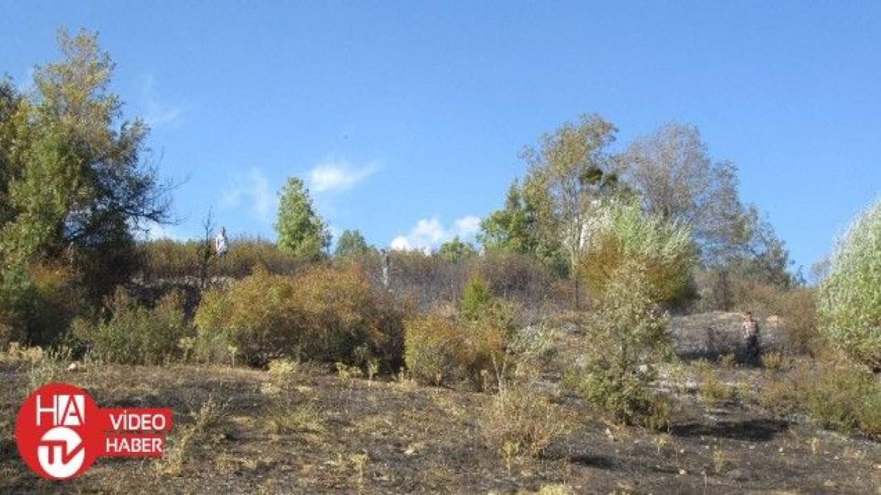 Sandıklı’da orman yangını