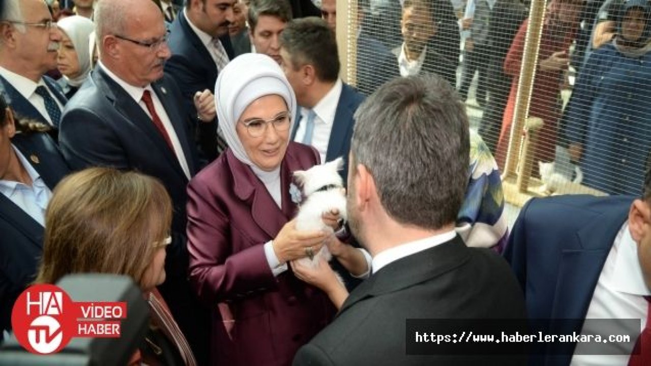 Başkan Ertuğrul Çetin’den Emine Erdoğan’a Ankara kedisi