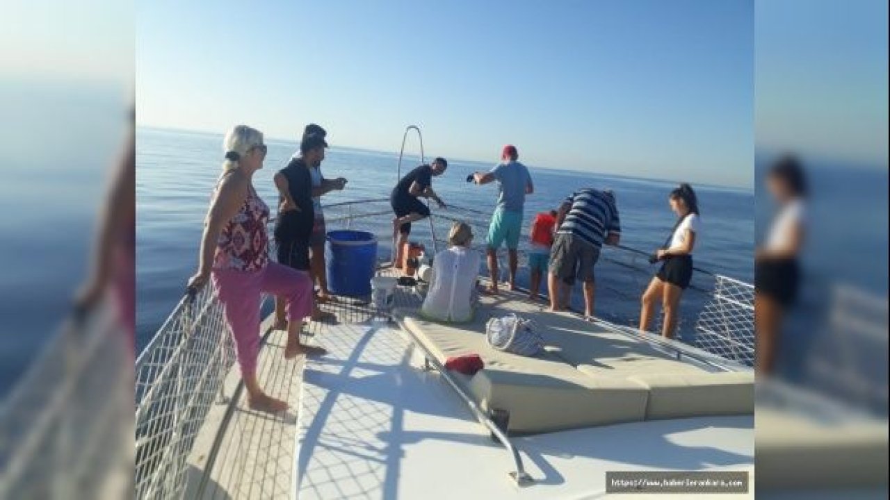 Turistleri taşıyan tur teknesinde köpek balığı heyecanı