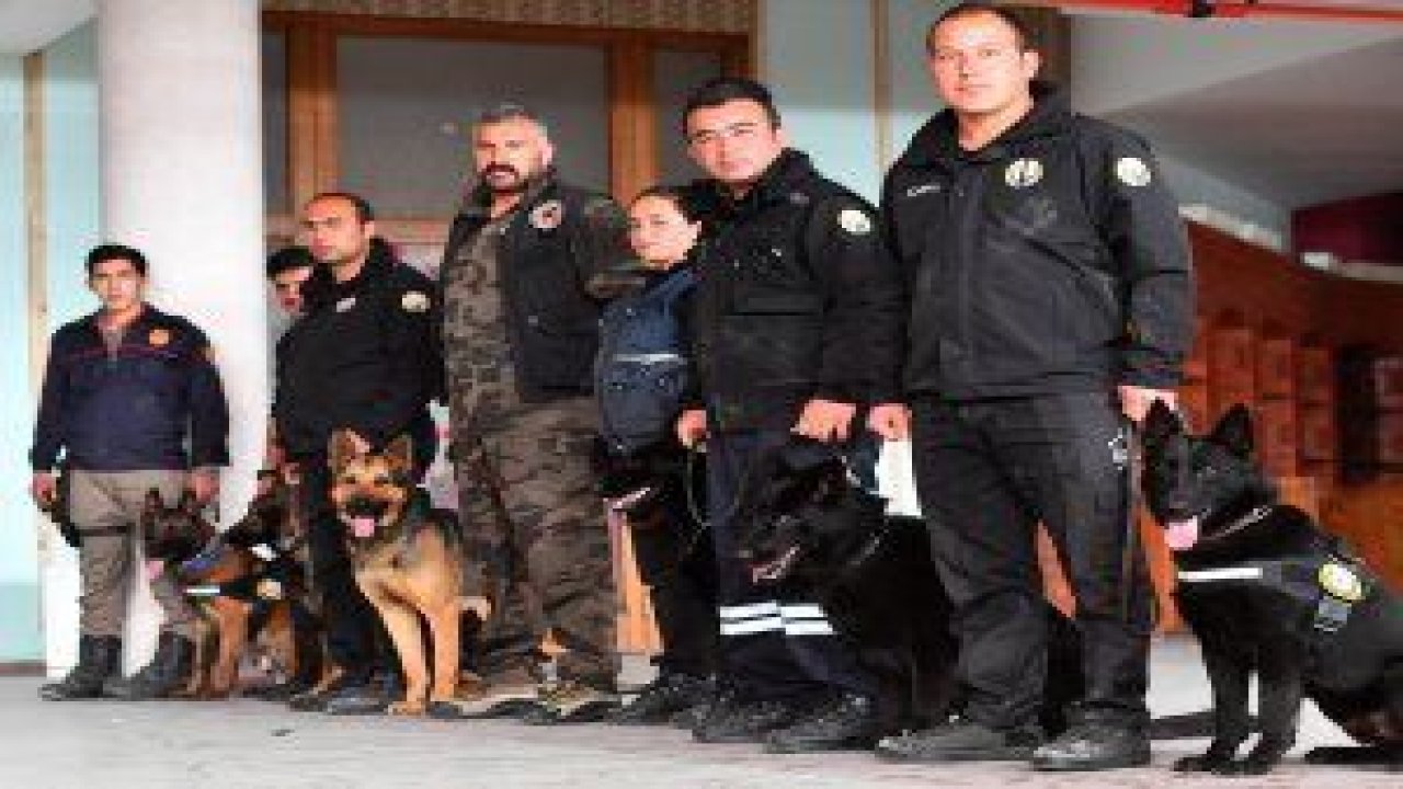 Ankara Büyükşehir Belediyesi İtfaiye Daire Başkanlığı’nın K-9 bomba arama köpekleri göreve hazır