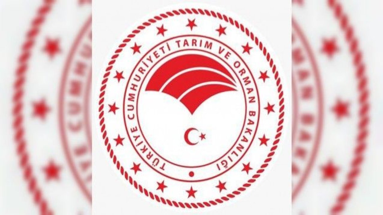 Organik gübre ve sofralık zeytin destekleme kapsamına alındı