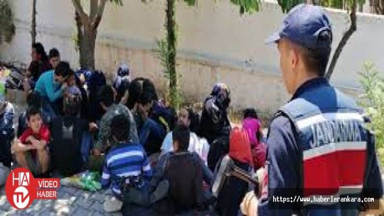 Muğla'da 42 düzensiz göçmen yakalandı