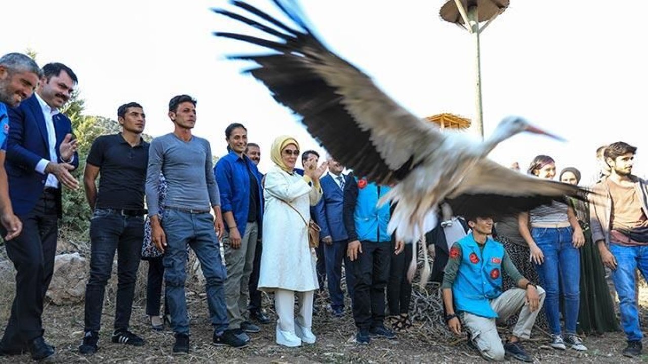 Emine Erdoğan, lavanta yetiştirme merkezini ziyaret etti