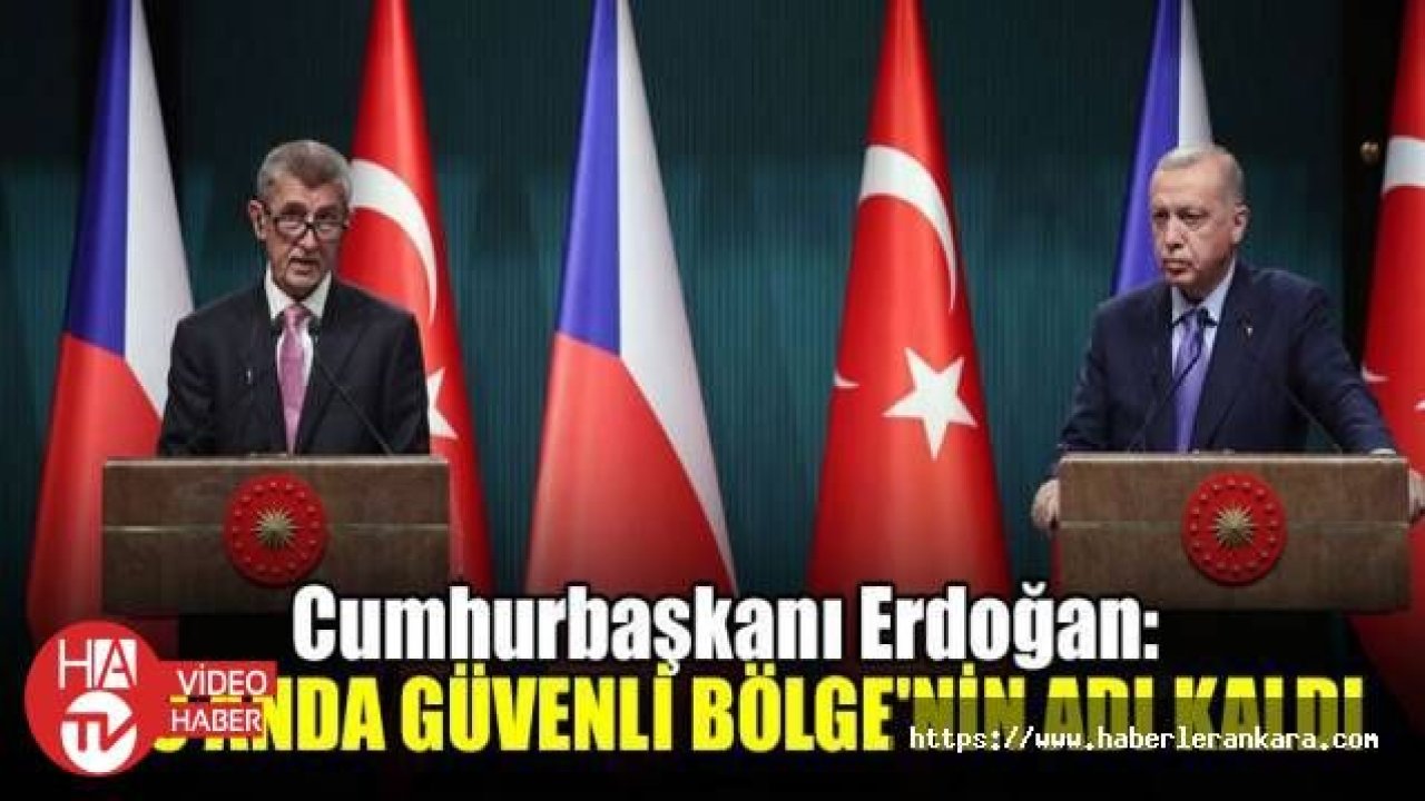 Erdoğan-Babis ortak basın toplantısı