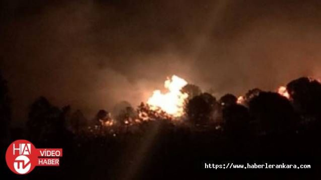 İzmir'de ormanlık alanın kundaklandığı iddiası