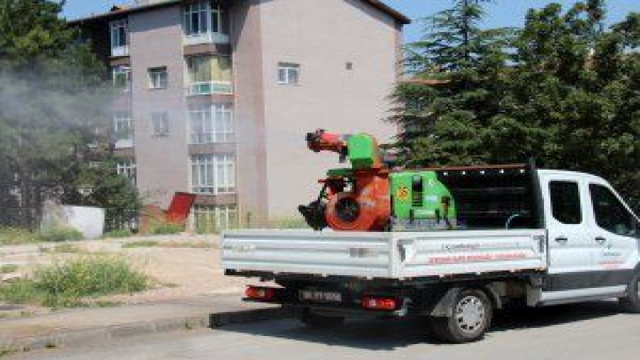 Çankaya Belediyesi, havaların ani ısınmasıyla birlikte haşere ile yoğun mücadeleye girdi