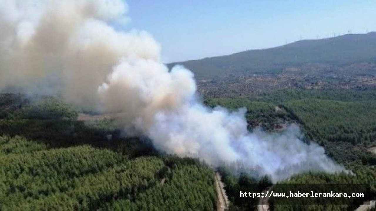 Bodrum’da çıkan orman yangınında alevler köylere ulaştı