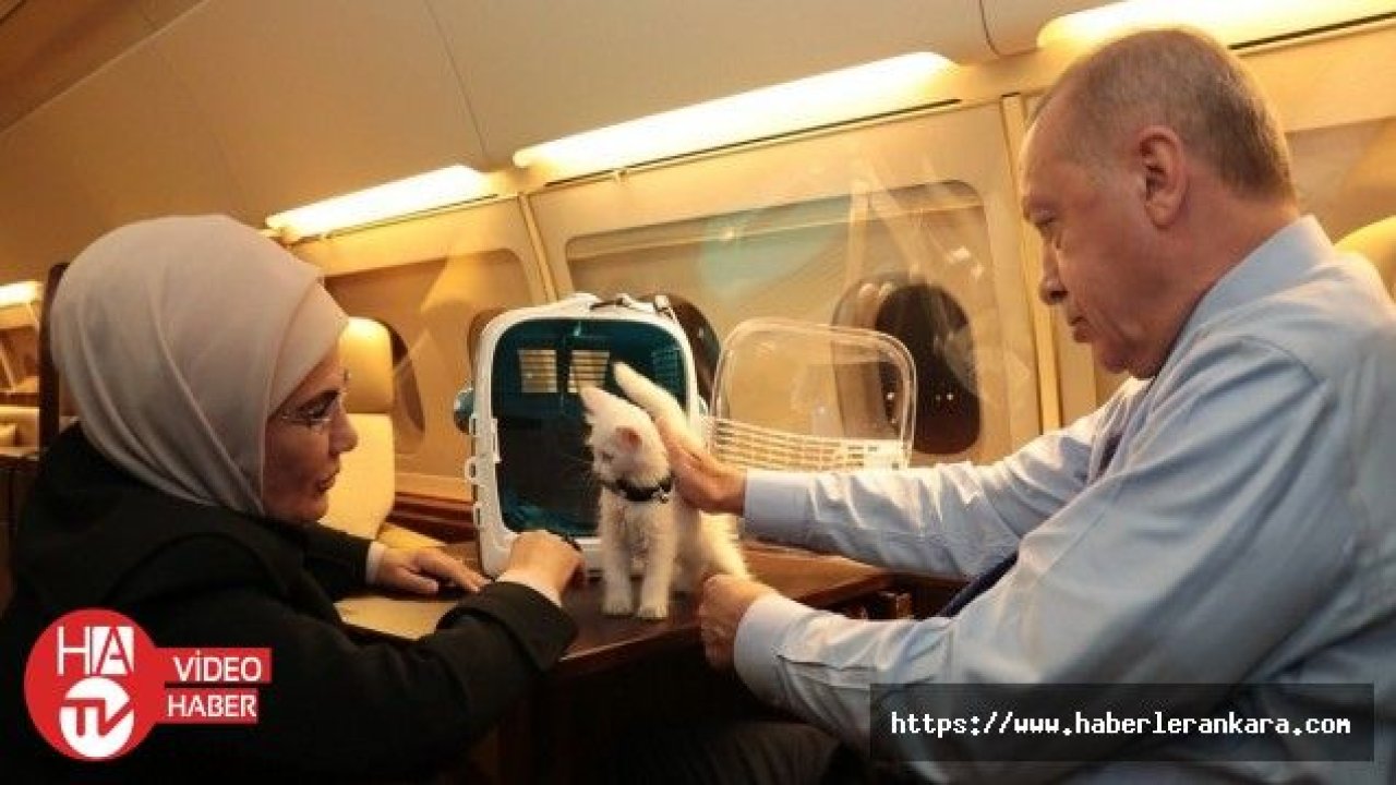 Emine Erdoğan'dan “Hayvanları Koruma Günü“ paylaşımı