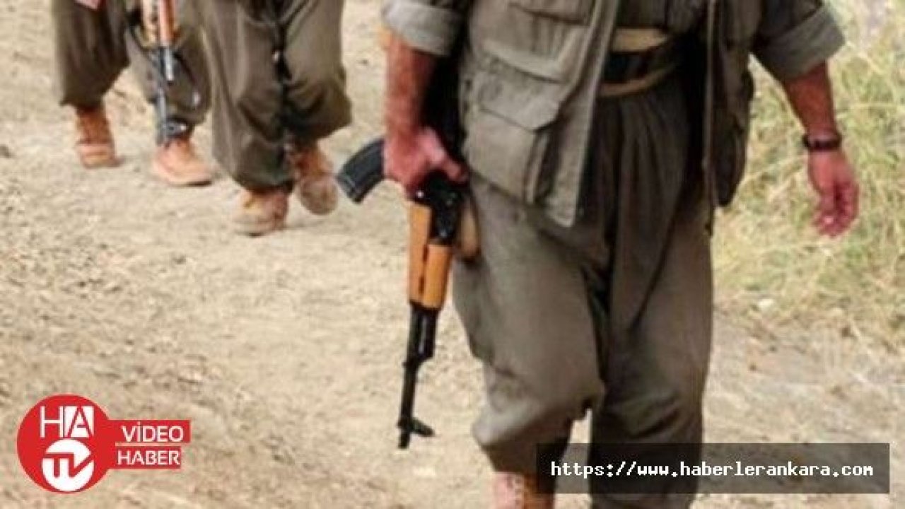 Şanlıurfa'da PYD/PKK'lı 2 terörist yakalandı