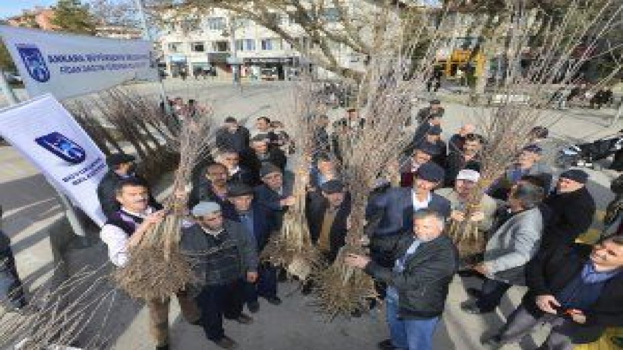 Büyükşehir'den çiftçiye tam destek - Ankara ...