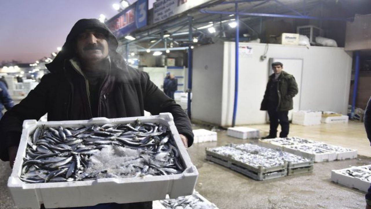 Başkentlilerin Balık Tercihi Hamsi Oldu