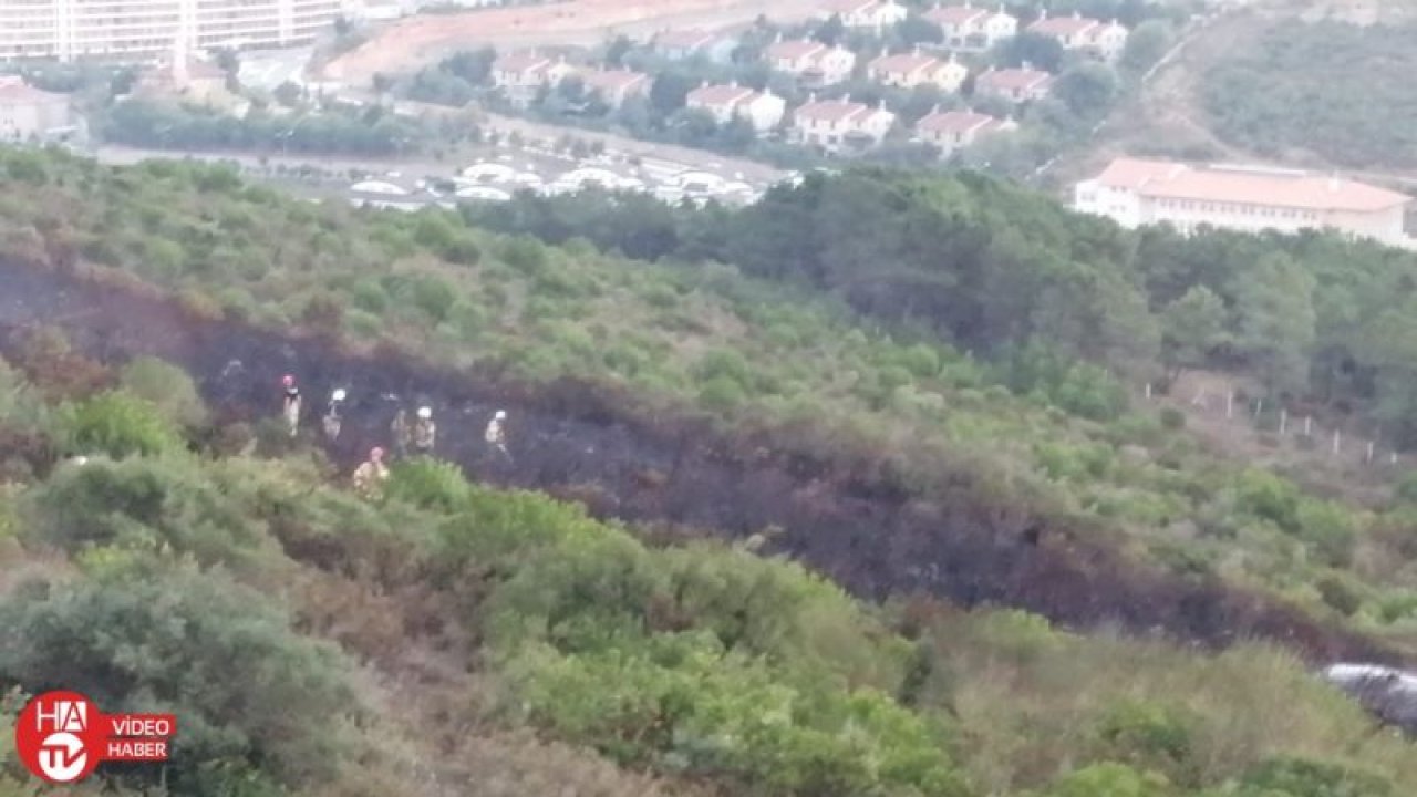 Aydos ormanında kundaklama sonucu yangın