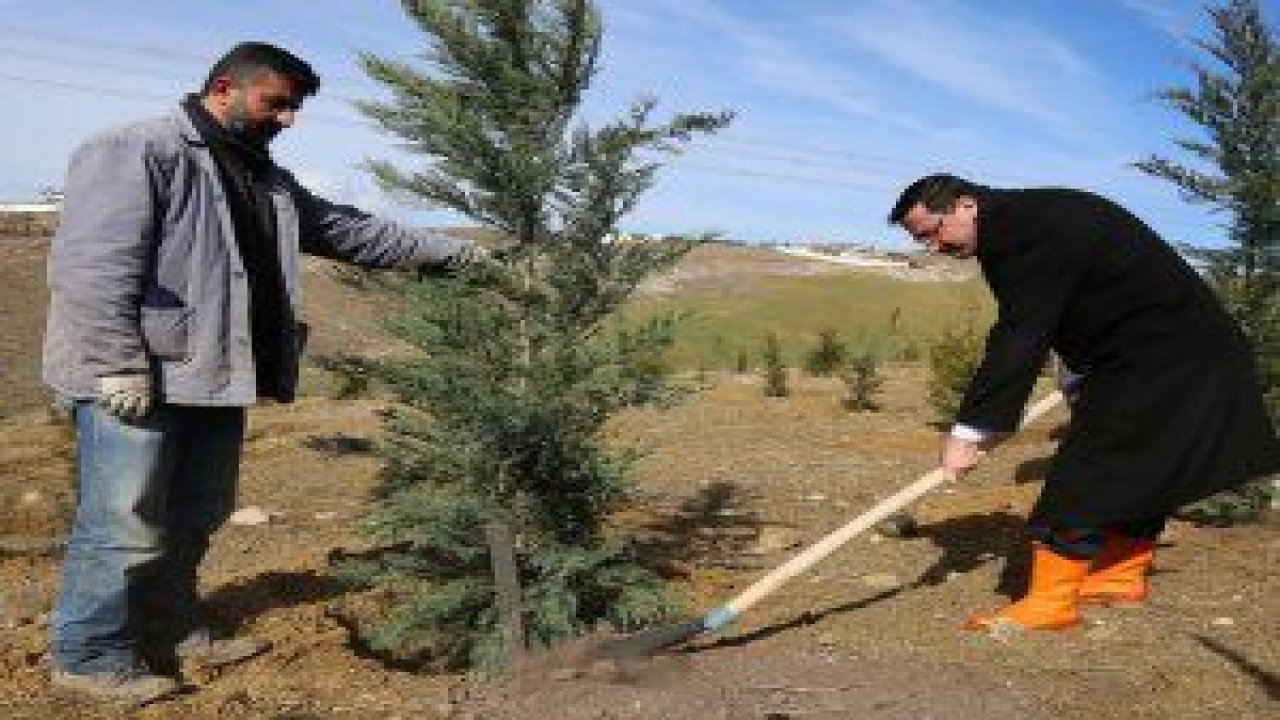 Keçiören'in daha yeşil olması için ağaçlandırma çalışmalarına devam eden Keçiören Belediyesi, 2018 yılının ilk fidanlarını toprakla buluşturdu