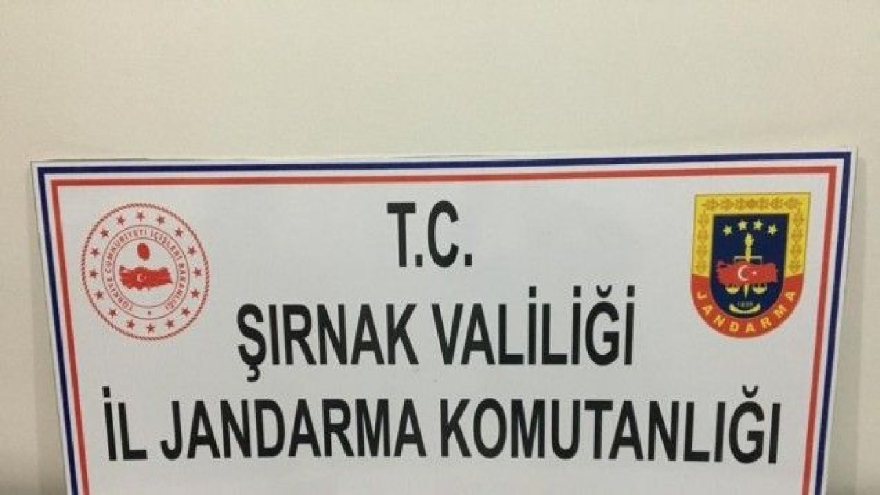 Şırnak’ta kaçakçılık ve terörle mücadele operasyonunda 41 gözaltı