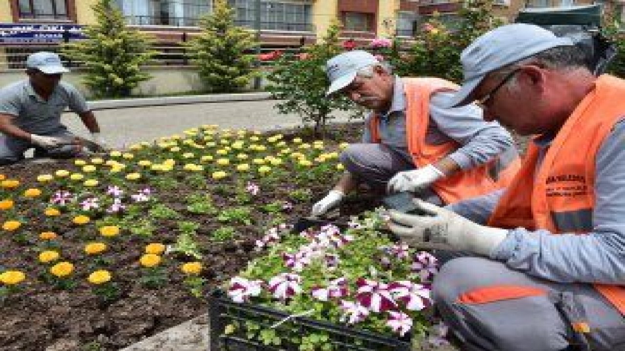 Mamak Belediyesi Park Bahçeler Müdürlüğü ekipleri ilçe genelini yeşile boyadı