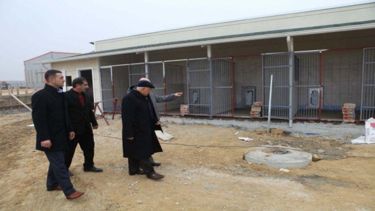 Yenimahalle’ye sokak hayvanları yaşam alanı