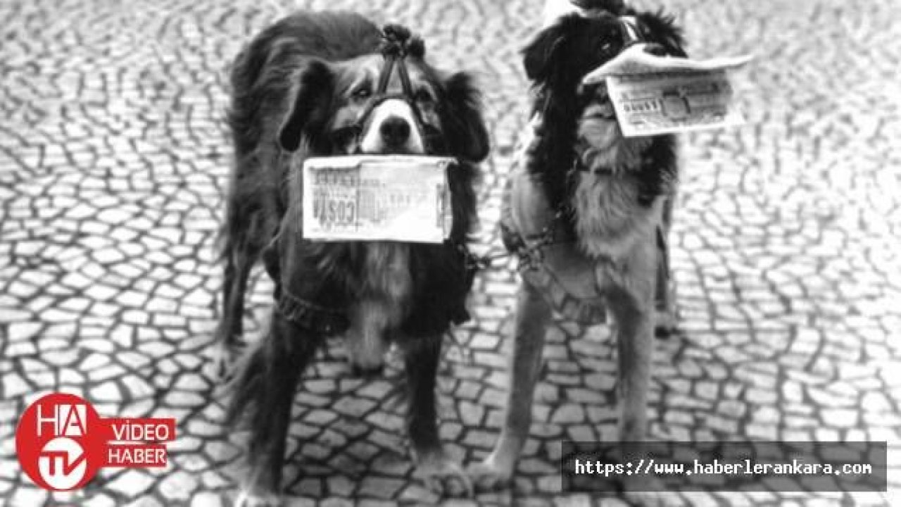 “Hayvanlar Hakkında Bir Konser“ 25 Eylül'de