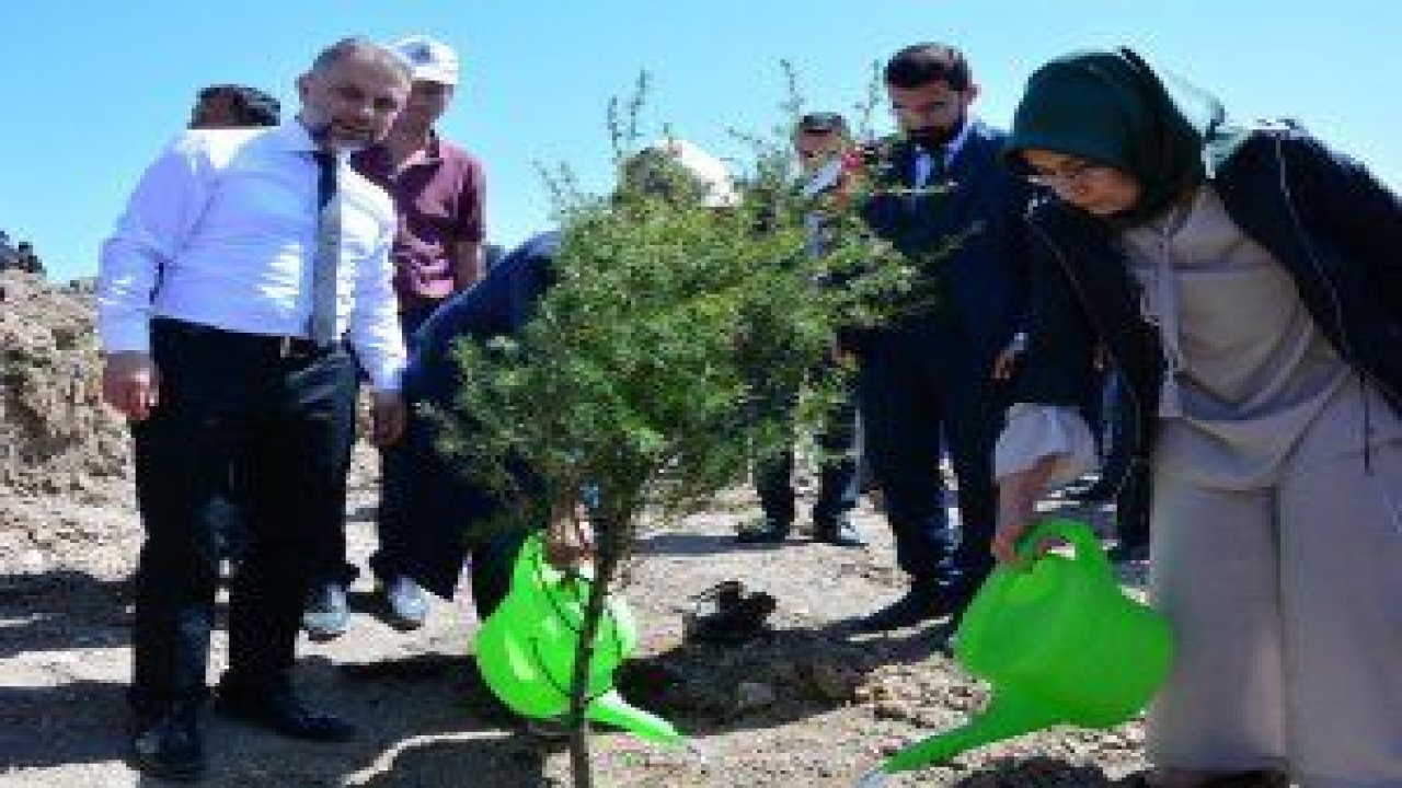 Kahramankazan İmam Hatip Ortaokulu öğrencileri Zeytin Dalı Harekatı’nda şehit düşen Mehmetçikler  için hatıra ormanı oluşturdu