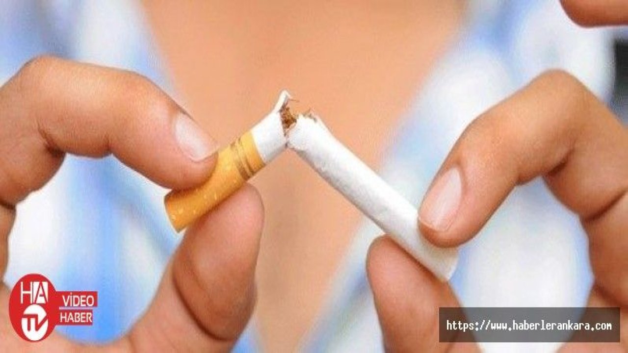 Hollanda'da restoran ve kafelerde sigara tamamen yasaklandı