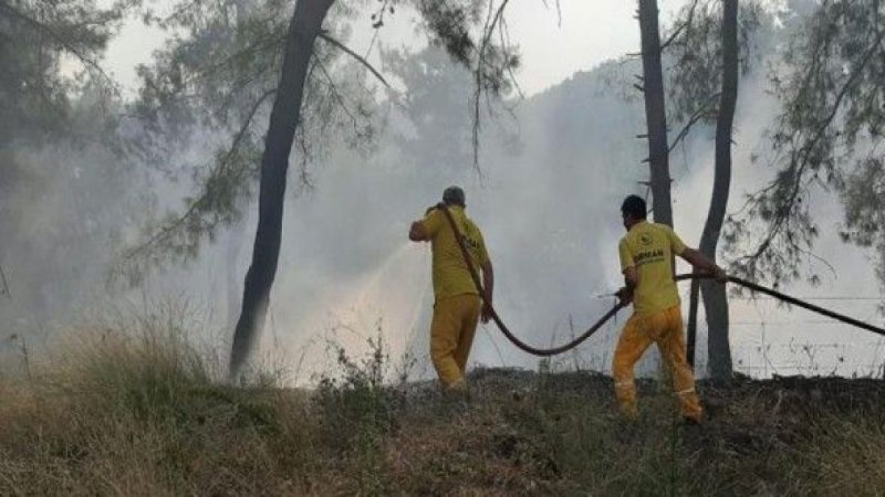 Osmaniye’de çıkan orman yangınında 3 hektar alan yandı