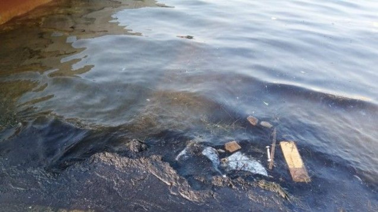 İzmir’de denizde korkutan manzara