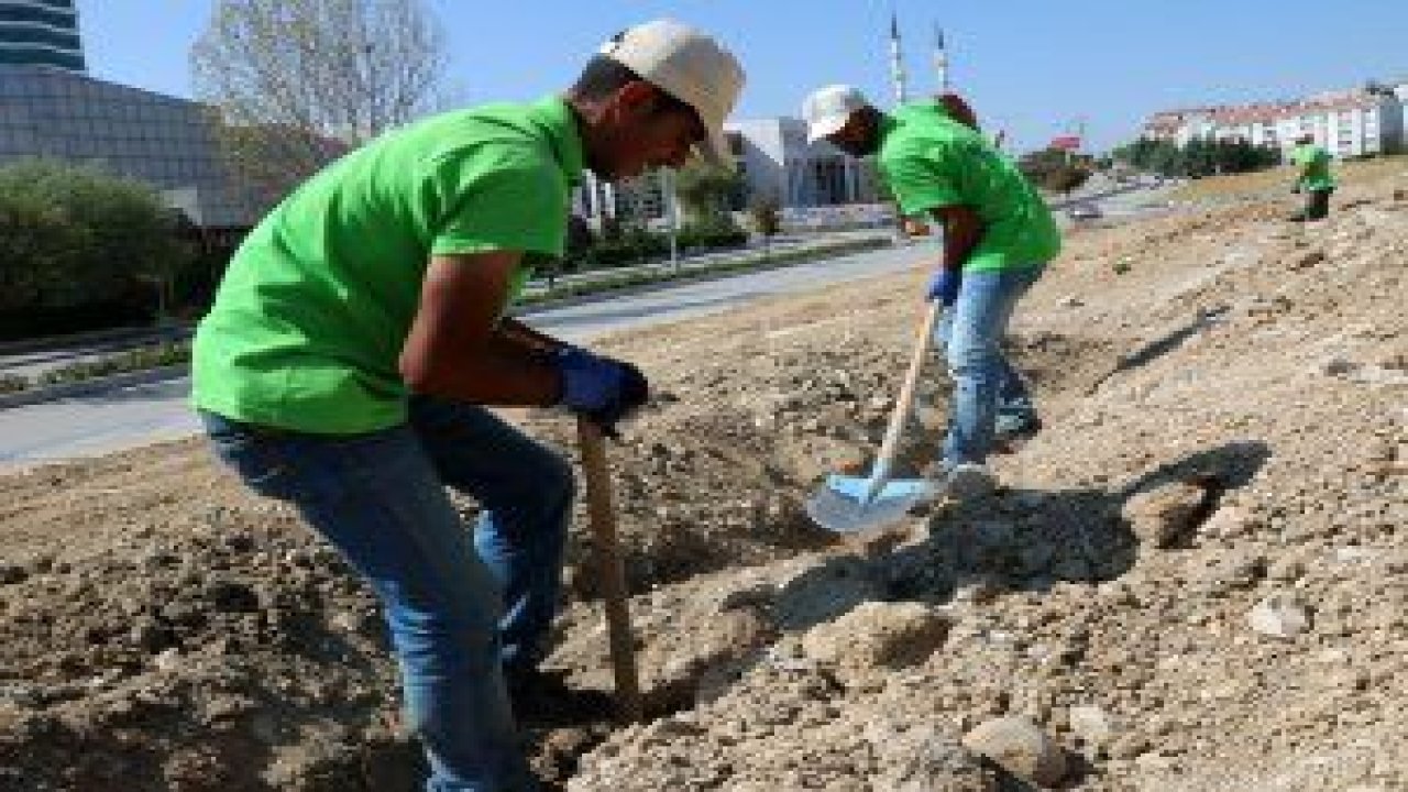 İlhan Cavcav Parkı 23 Kasım'da Çayyolu Koru Mahallesi'nde açılacak