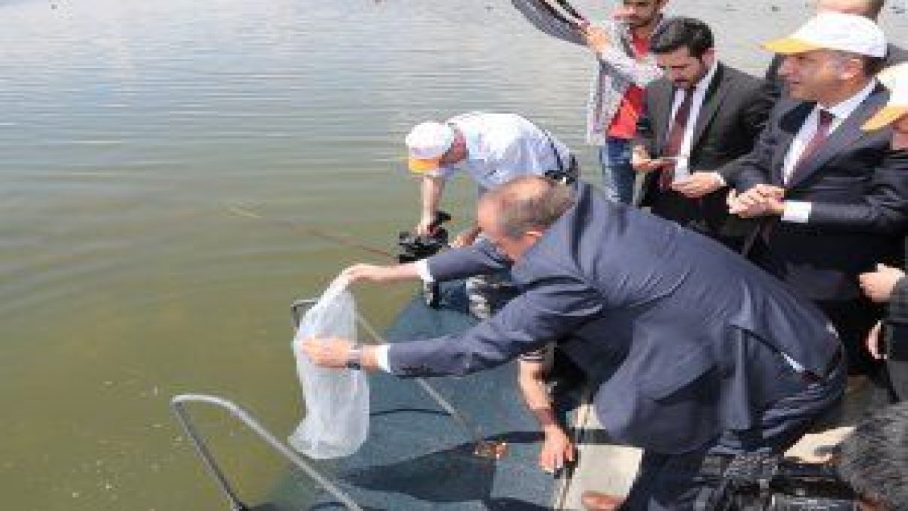 Gıda Tarım ve Hayvancılık Bakanlığı  Ankara İl Müdürlüğü  yetkilileri tarafından Mogan Gölü’ne 15 Bin yavru sazan balığı bırakıldı
