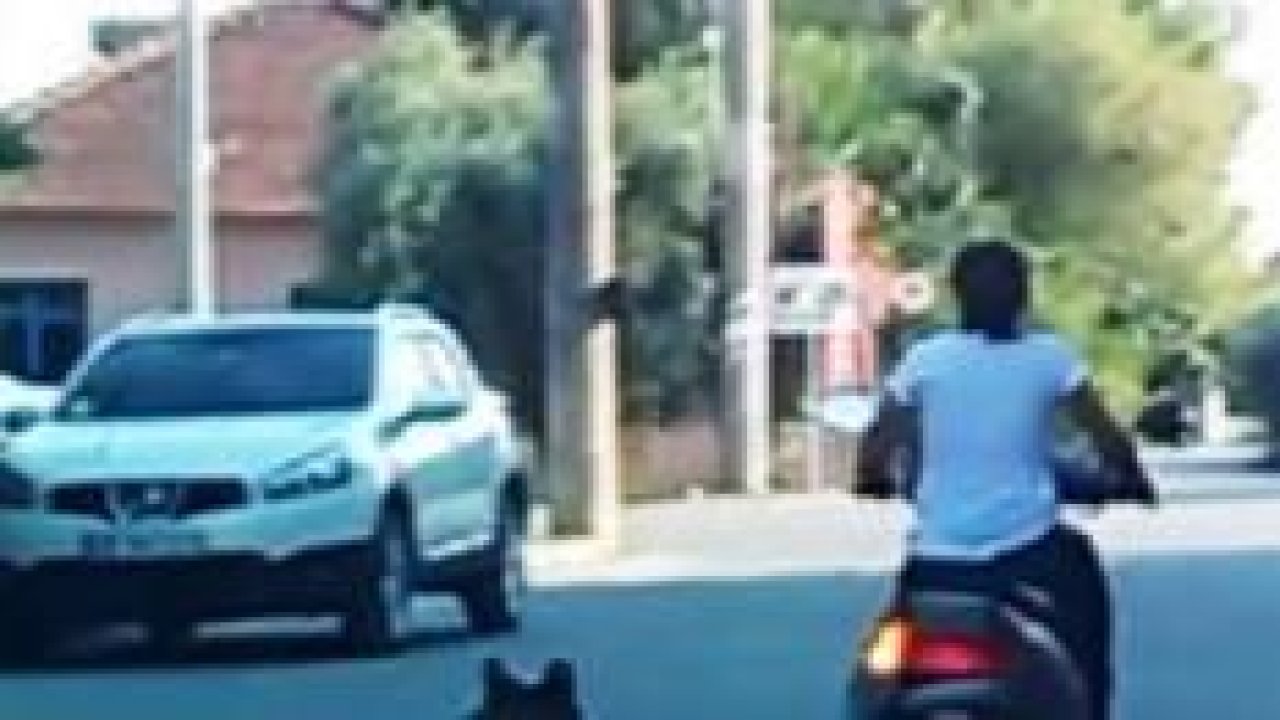 Köpeğini motosiklete bağlayan kadına tepki