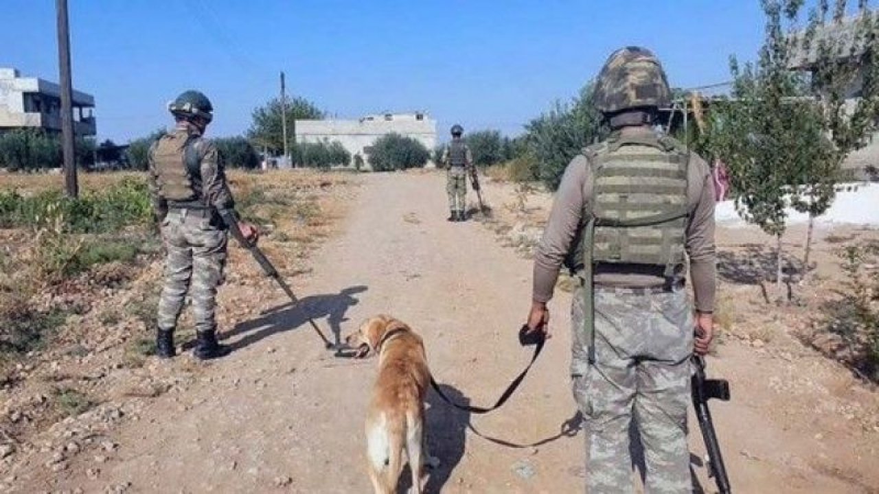 YPG/PKK’lı teröristlerden TSK unsurlarına taciz ateşi