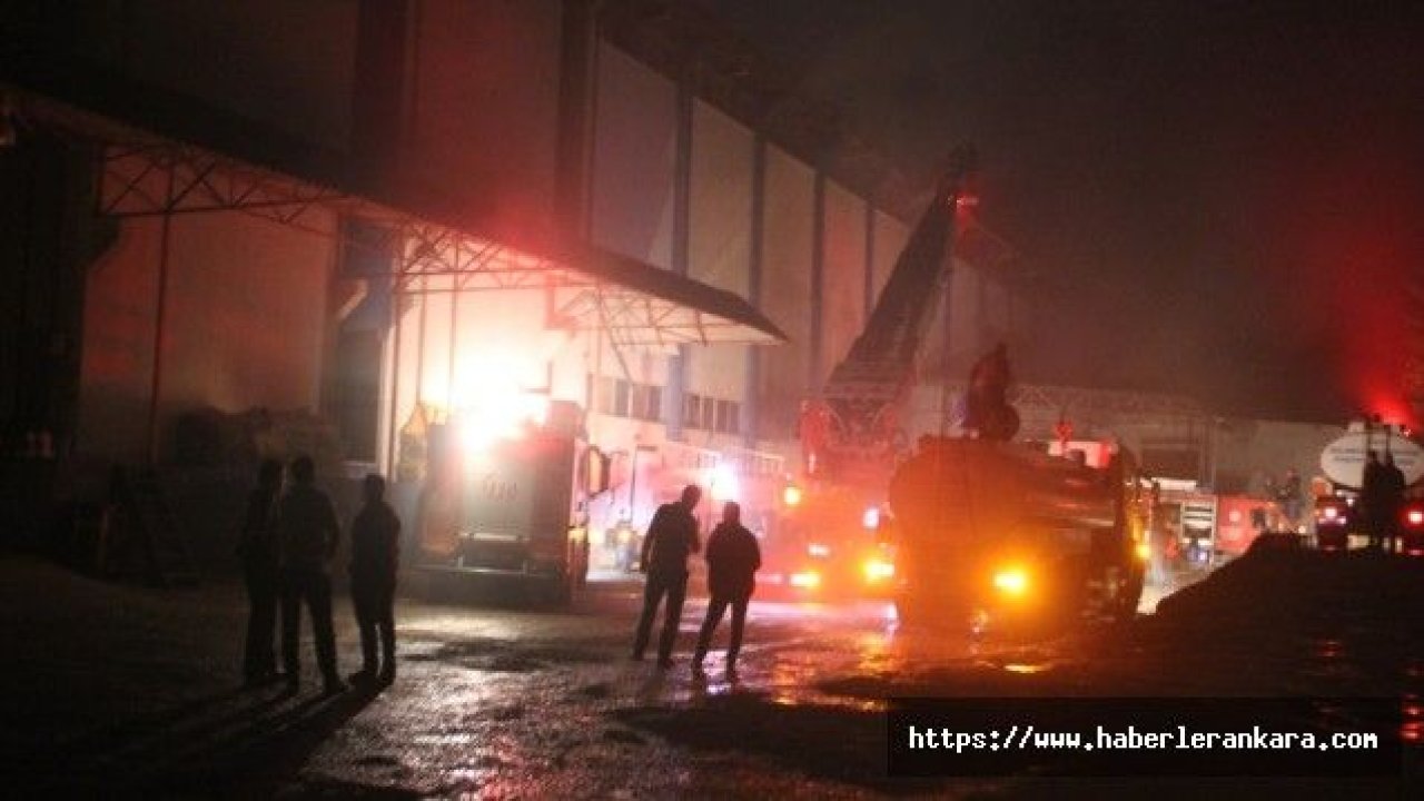 Giresun'da fındık fabrikasında yangın