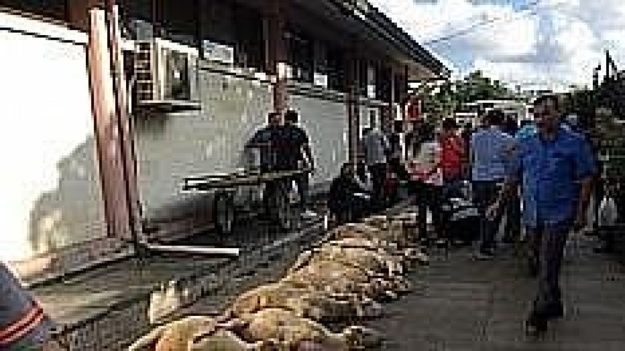 Eyüpsultan’da şehitler için 53 kurban kesildi