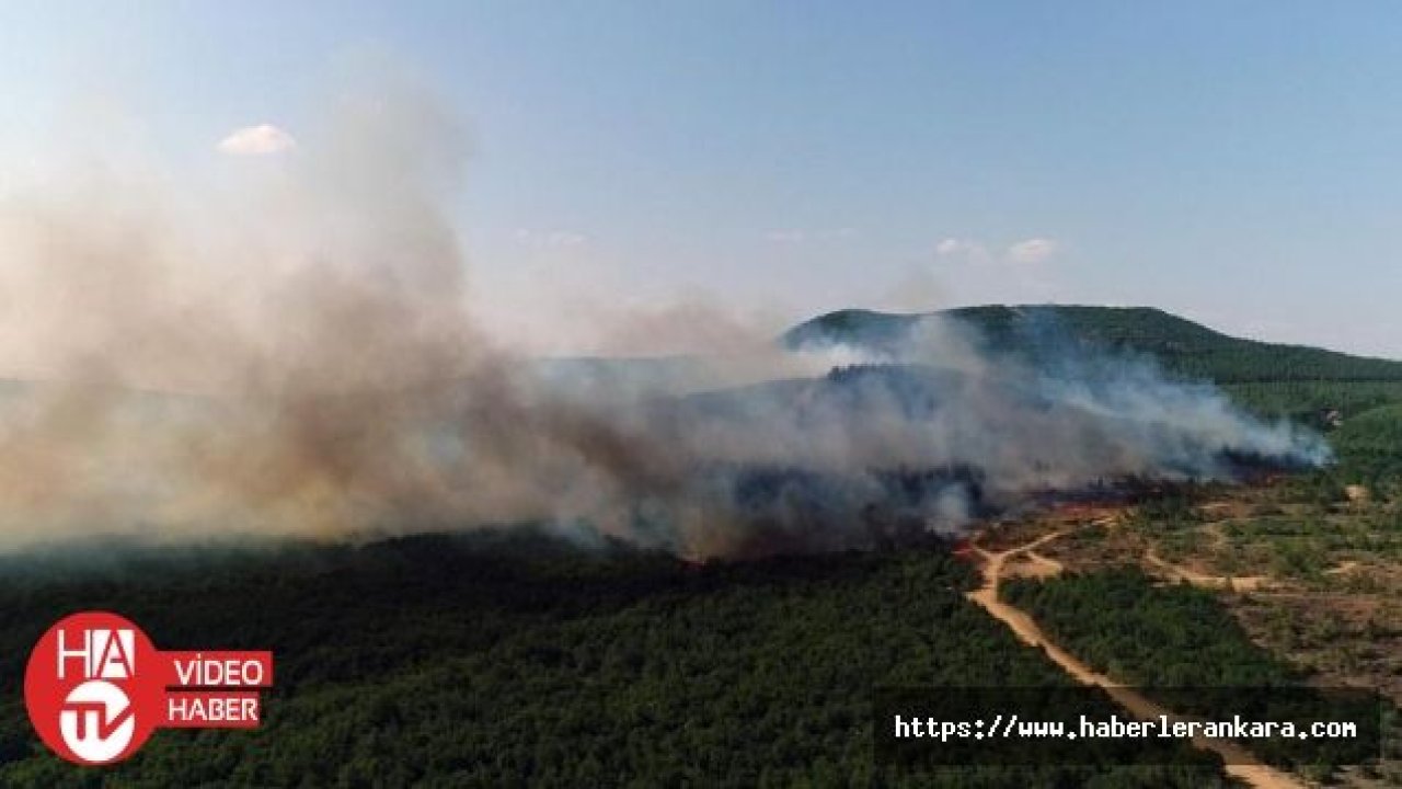 Hatay'da farklı 25 noktada şüpheli orman yangını