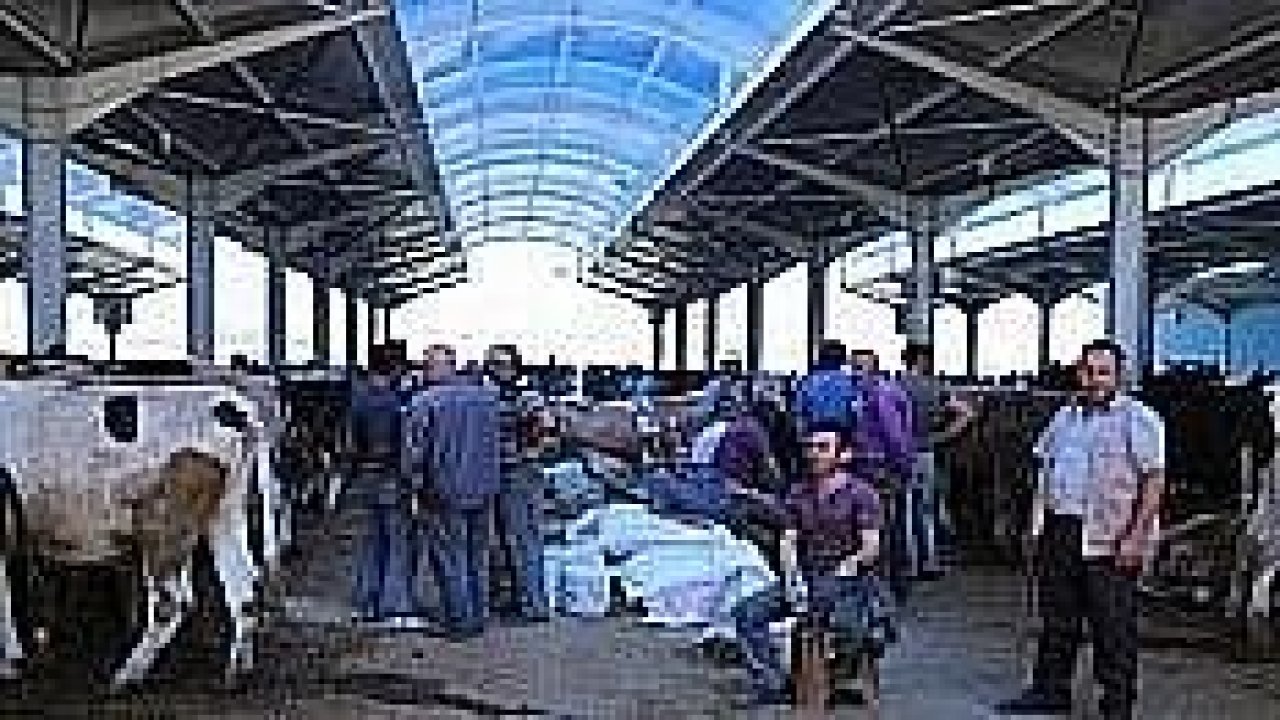 Kurban pazarında yoğunluk