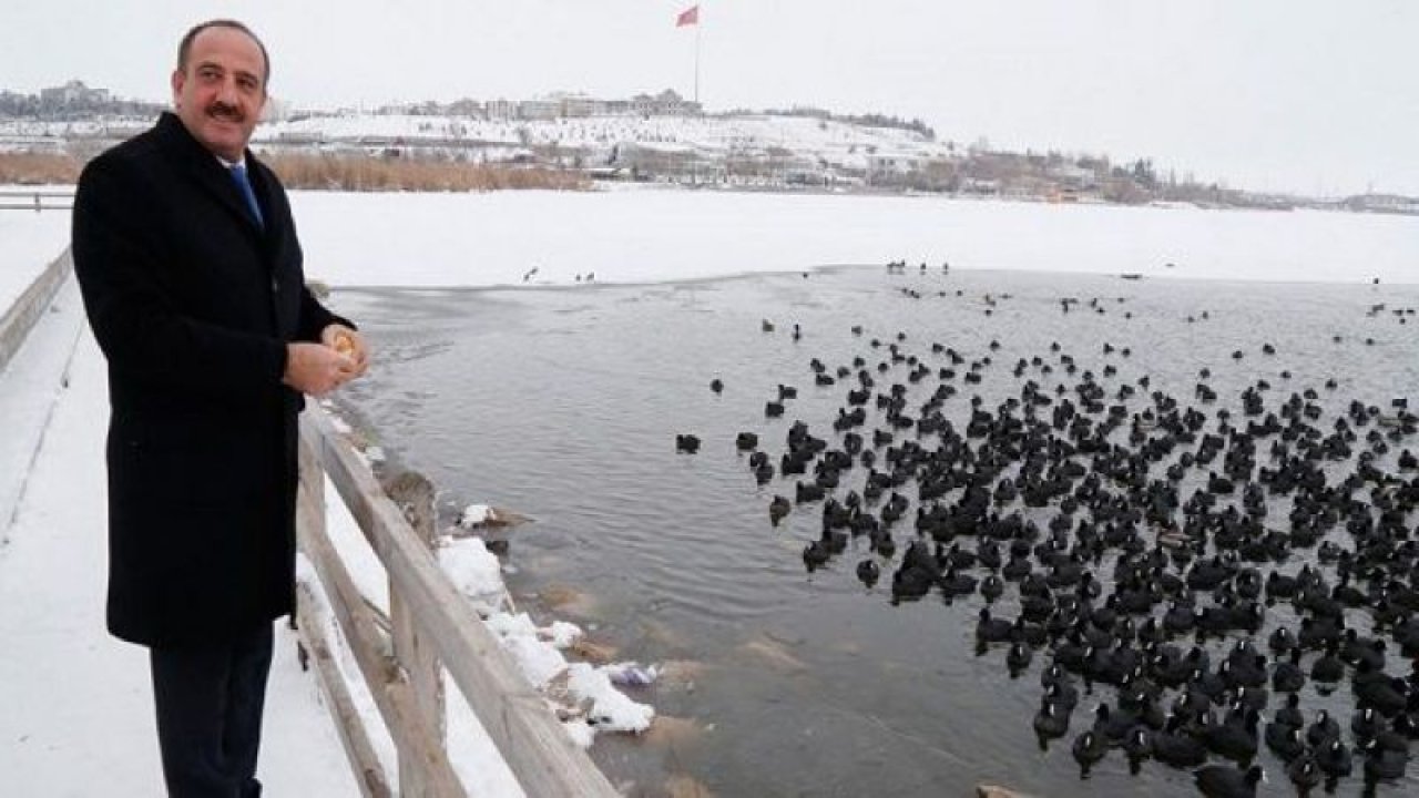 Gölbaşı Belediye Başkanı Duruay, aç kalan kuşları besledi