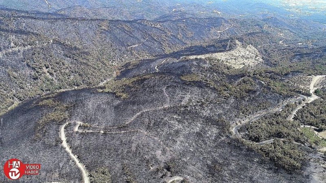 THK, 45 milyonluk hizmet için 90 milyon teklif verdi