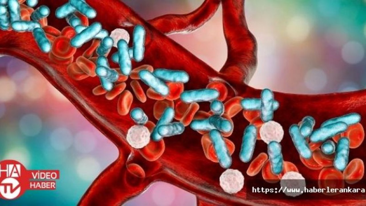 Bilinçsiz antibiyotik kullanımı sepsis tedavisini güçleştiriyor