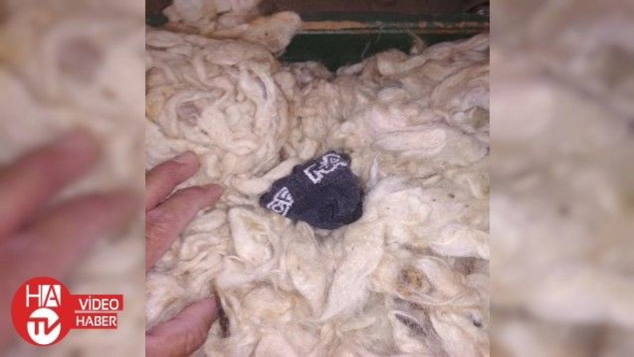 Kabartmak için açtığı yastıktan çıkanlar şoke etti