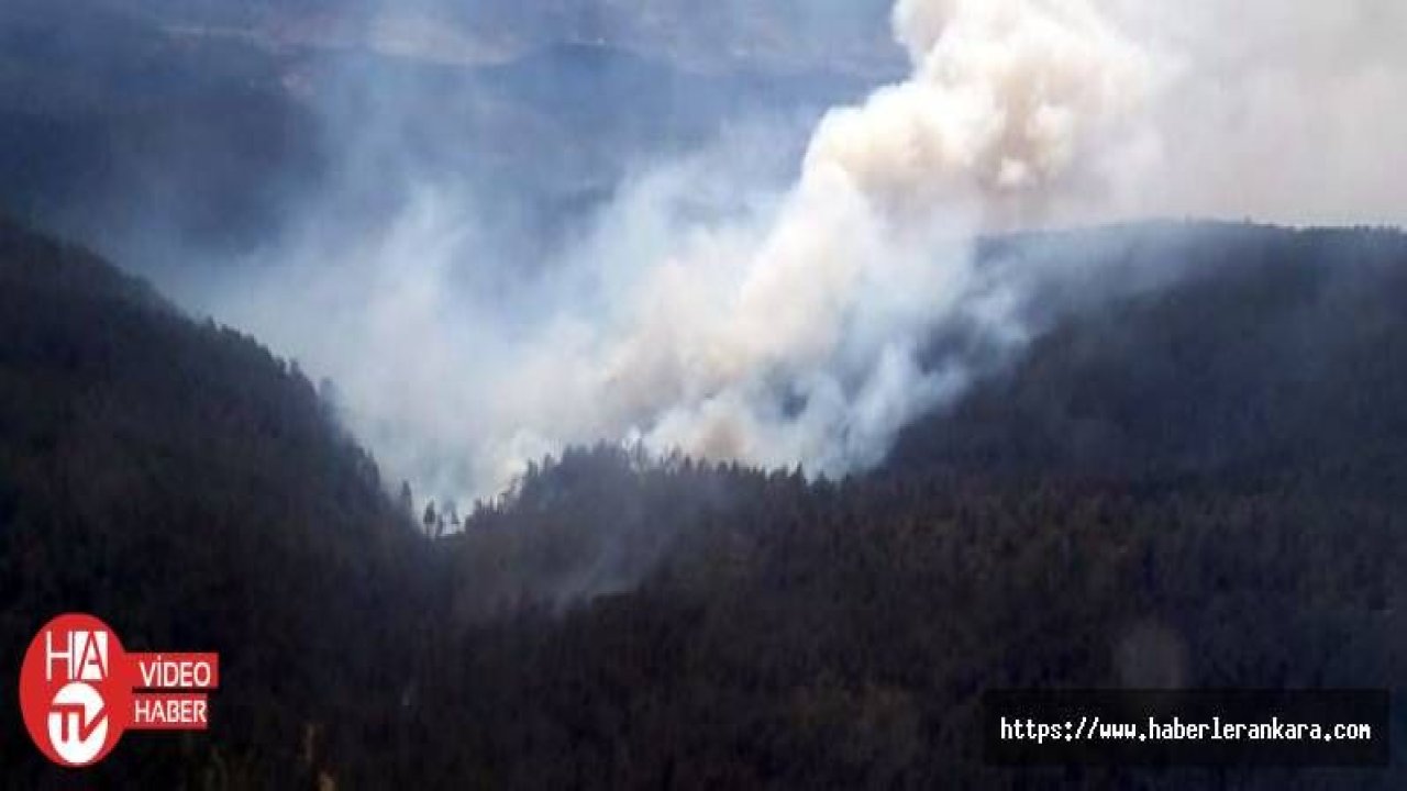 Bursa'daki orman yangını soruşturmasında 3 gözaltı