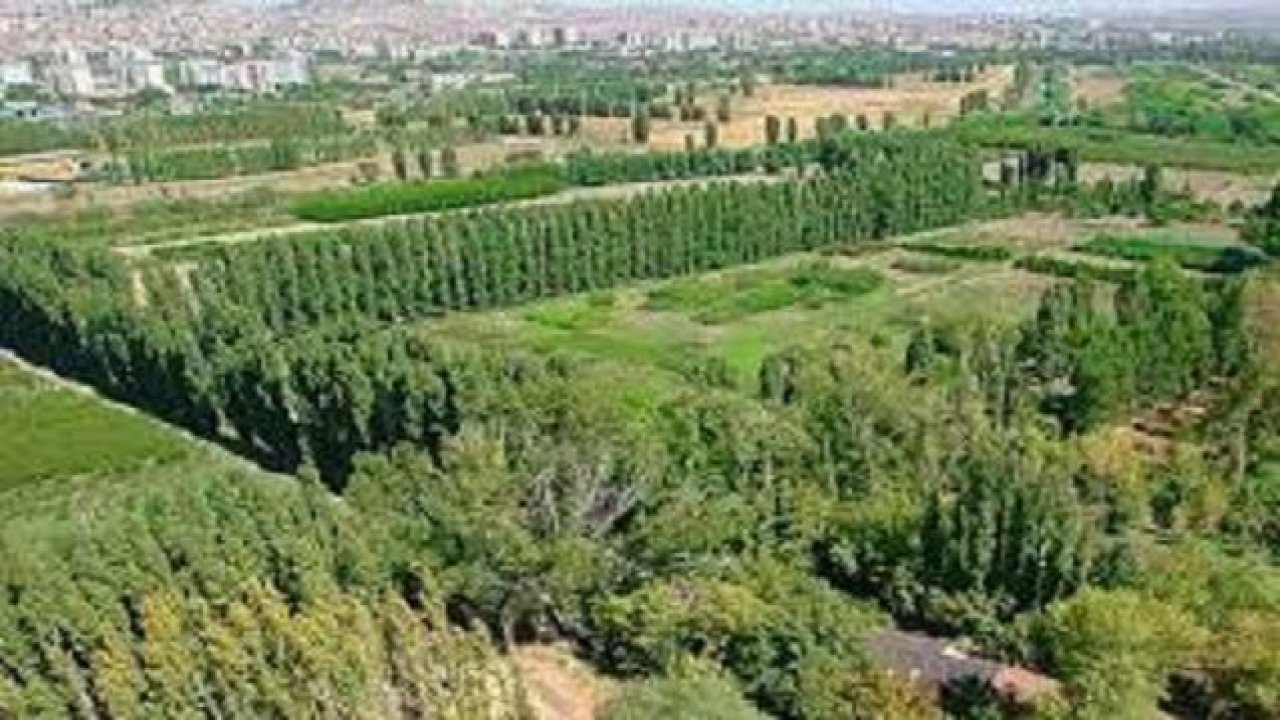 Atatürk Orman Çiftliği Ankara