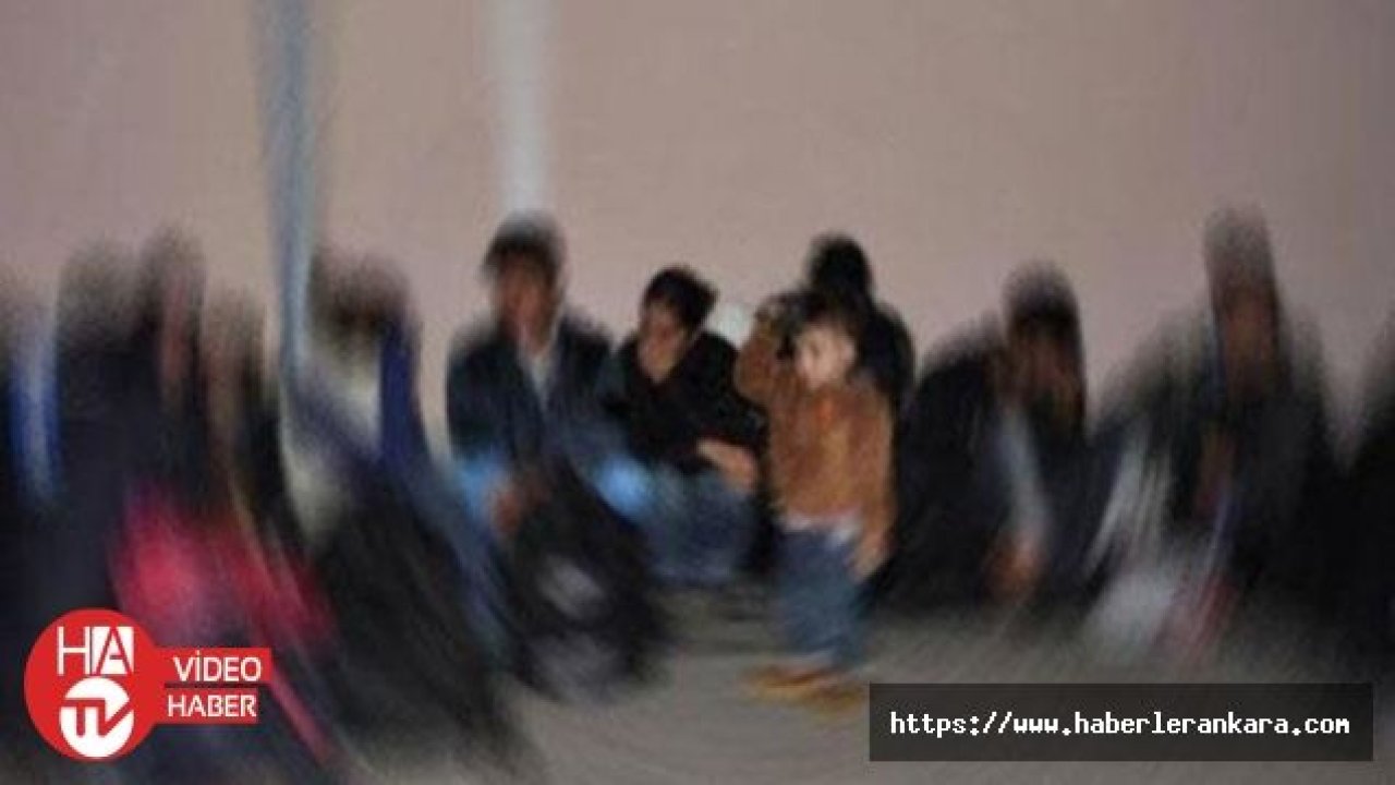 Kırklareli'nde 29 düzensiz göçmen yakalandı
