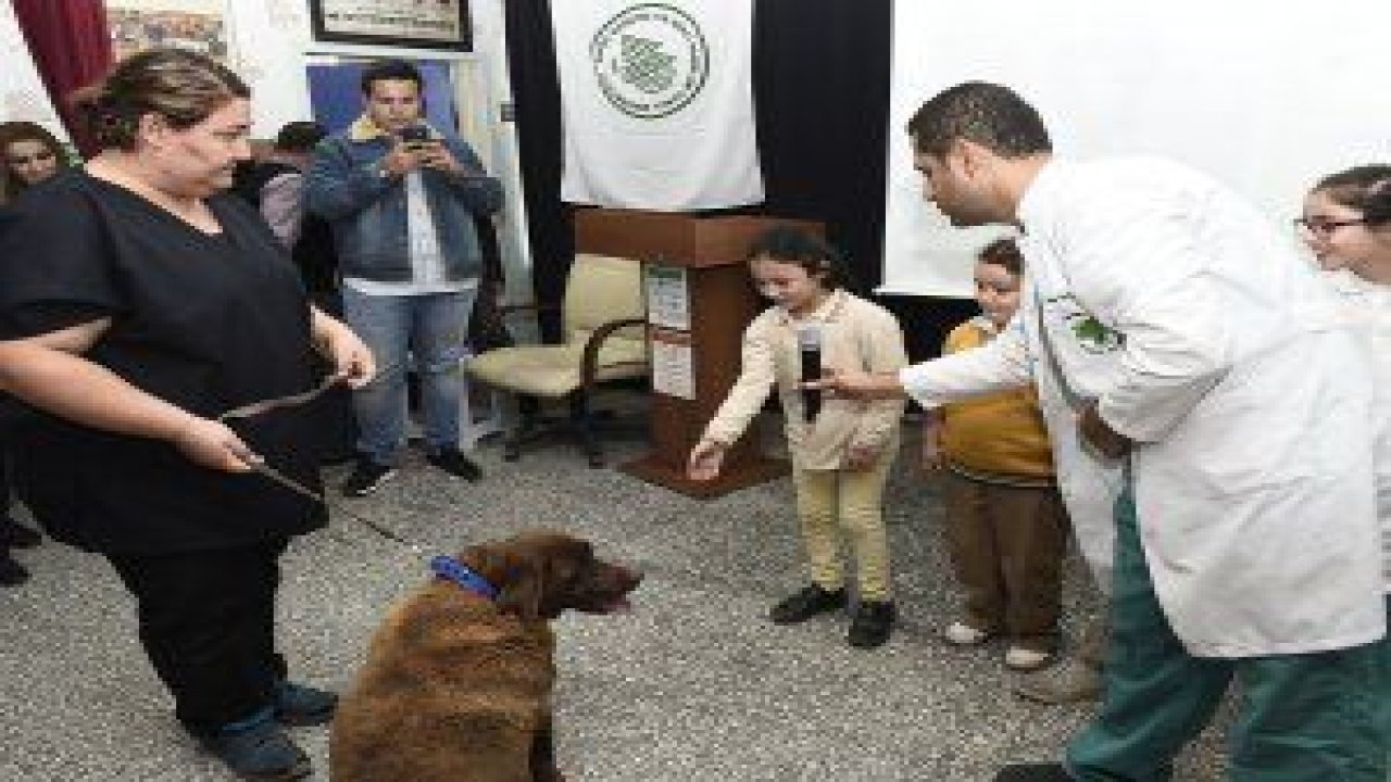 4 Ekim Hayvanları Koruma Günü dolayısıyla öğrencilere seminer düzenlendi