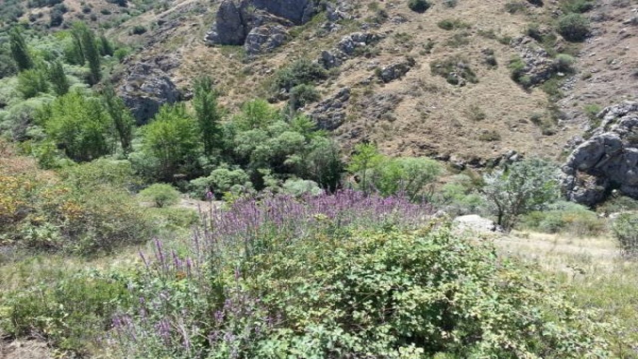 Ankara'nın Göbeğinde Mamak'ta Saklı Bir Kanyon: "Kıbrıs Köyü Kanyonu"