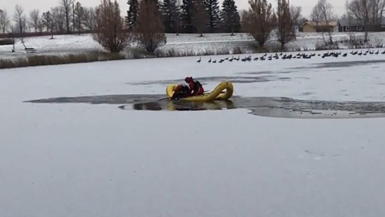 Buz Tutan Gölde mahsur kalan köpek donmak üzereyken bulundu