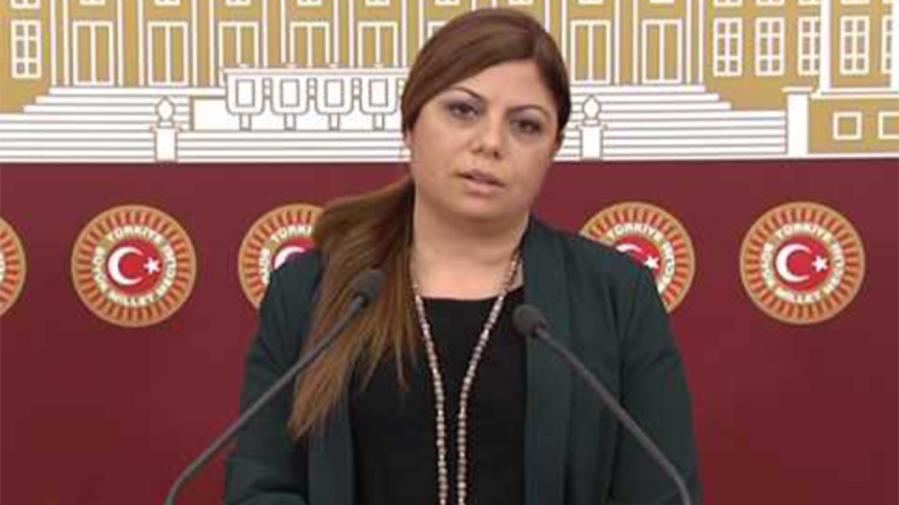 CHP'li Altıok "Cumhurbaşkanına hakaret" suçundan hakim karşısına çıktı