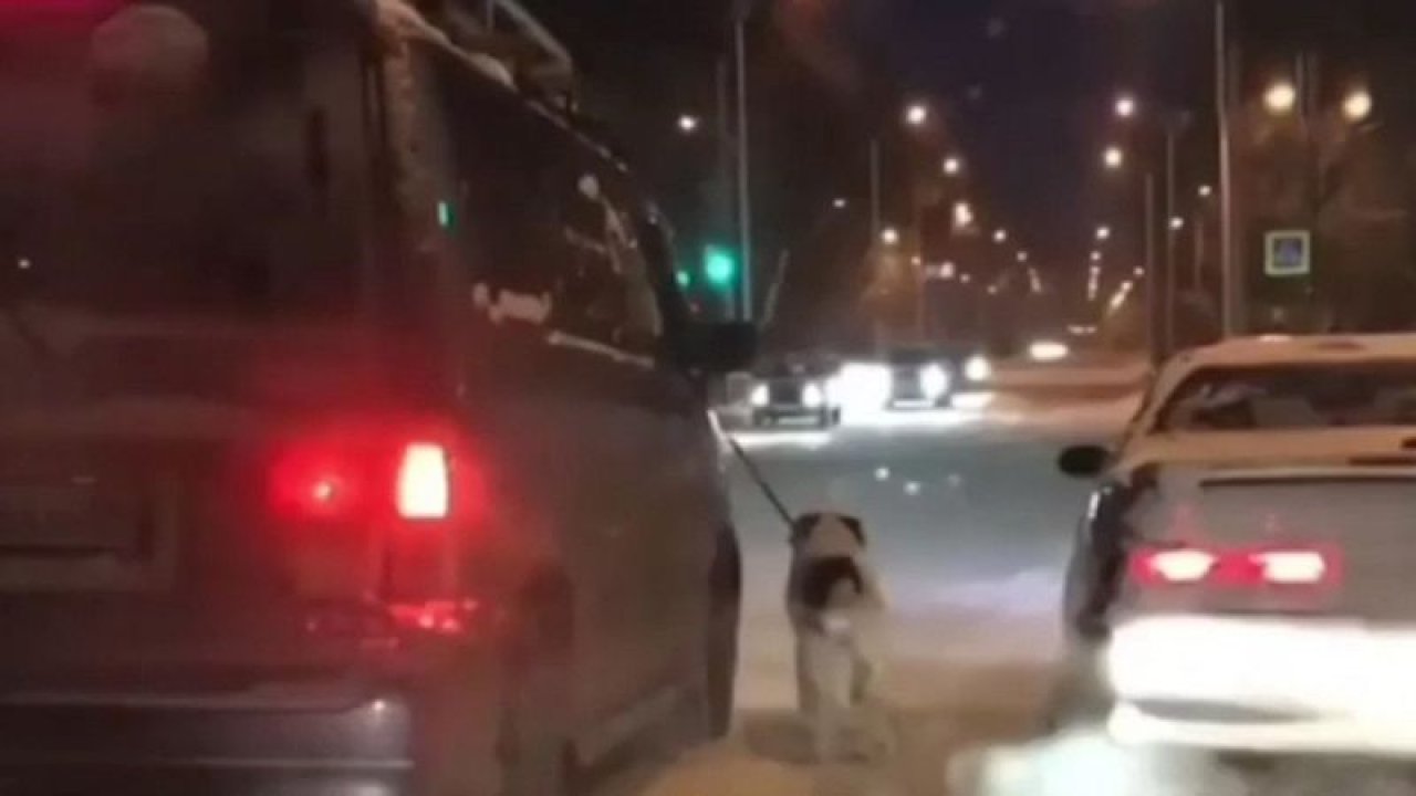 Köpeği aracına bağlayıp buz tutan yolda kilometrelerce yürüttü
